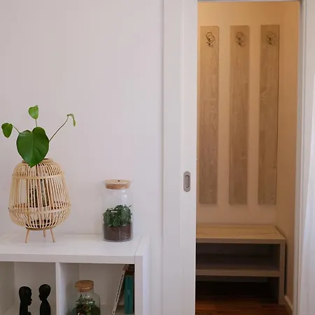 Cozy Near The 公寓